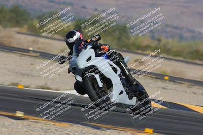 media/Nov-12-2023-SoCal Trackdays (Sun) [[5d1fba4e7d]]/Turn 14 (1035am)/